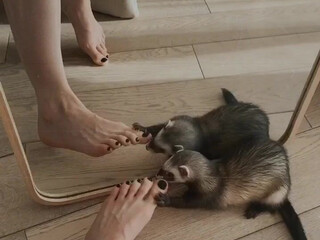 Reislin onlyfans Nude girlfriends caressed on the floor