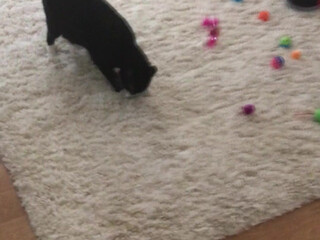 Anna Bell Peaks (AnnaBellPeaks) onlyfans Natural beauty has valid buffers