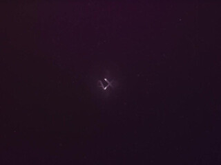 Lana Rhoades onlyfans Busty brunette sucks dildo