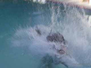 emily willis onlyfans Two amazing s fuck with one toy