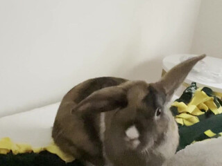 Chloe Spencer aka Ch111oe onlyfans Gentle erotic spinning at the chair