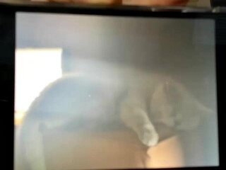 adysweet onlyfans mother teases clit