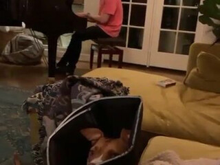 BILLIE EILISH onlyfans Cute girl handjob wet pink hole