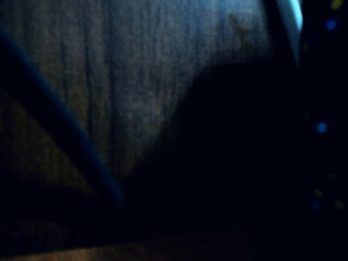 Harmonyy chaturbate Slender model shows off her beauty