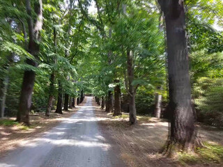 PolinaMalinovskaya onlyfans I like the new toy in wet pink hole