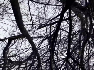 countrychristina onlyfans Extravagant babe blissfully bangs holes