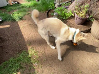 graciegreyyxo onlyfans Shy slut caresses shaved cunt