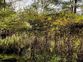 countrychristina onlyfans Ticket amazing show with sexy mommy