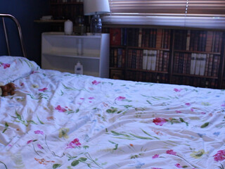 pantieprincess23 onlyfans Young sterlet fucks wet pink hole