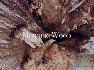 countrychristina onlyfans 18/12/2021 webcam video from CamSoda