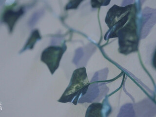 Jewelz Blu aka jewelzblu onlyfans pink vibrator in my wet wet pink hole