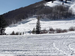 NALA FITNESS onlyfans Perfect swell caresses sex lips