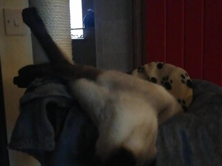 pantieprincess23 onlyfans Have brought teen to insane orgasm