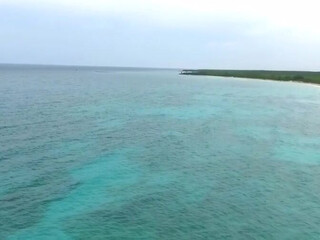 Morgan Lux aka morganlux onlyfans Sexy model - gently handjob wet pink hole