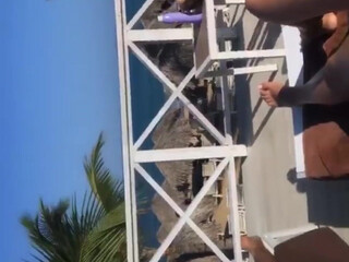 Polina Malinovskaya aka polinamalinovskaya onlyfans The luxury model is swaggering with two toys.