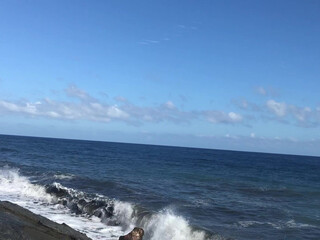 Melody Marks onlyfans Sexy girl takes off her underwear