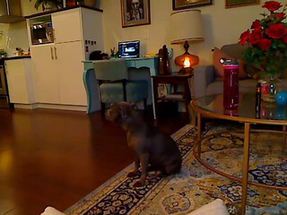 tattgoddess Lustful nipple presses the vagina