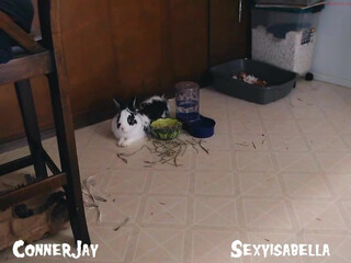 connerjay White.haired Shmara posing in lingerie