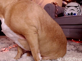 helloharley chaturbate 29.01.2022 Newest from chaturbate Porn 2022