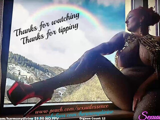 sexual_essence chaturbate  bitch eagerly fucks holes