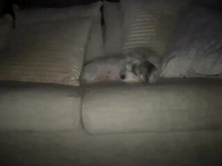 tiffanydeepthroats chaturbate 19 january 2022 Newest from chaturbate show