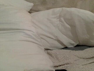 incognitoparamore chaturbate Gorgeous mare fucks pussy with phallus