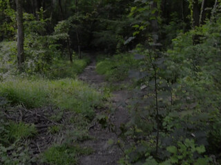 ManyVids kwgirlx Sweet beauty in white lingerie dances before webcam