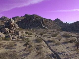 Riley Reid aka rileyreidx3 onlyfans  having fun with a toy