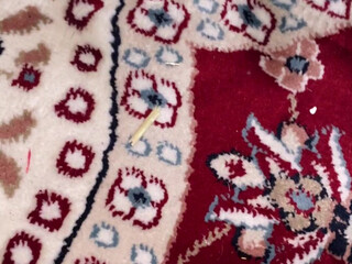 Riley Reid aka rileyreidx3 onlyfans  caresses his fur coat