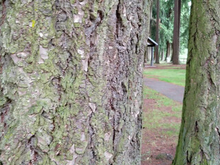 Embersnow onlyfans 8-03-2022 Camcording 2022