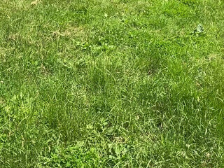 Ladyelectradominatrix onlyfans 19_02_2022 Latest sex show 2022