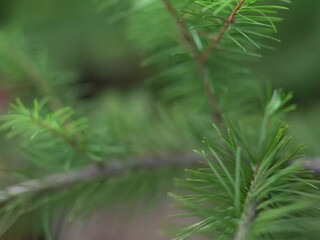 Linny Hill aka linny_hill onlyfans 10-02-2022 webcam masturbation