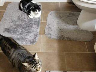 Embersnow onlyfans  playing with a vibrator