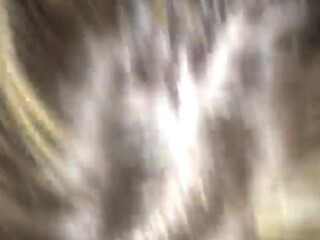 sexypolishvixen onlyfans Solid hotties @ check out their boobs