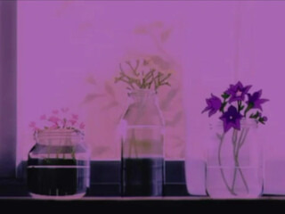 ocicat onlyfans 6_01_2022 Full ticket show 2022