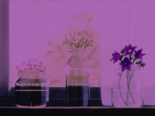 ocicat onlyfans Young female fingering hairy cunt