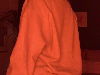 ocicat onlyfans Beautiful harlot dancing striptease