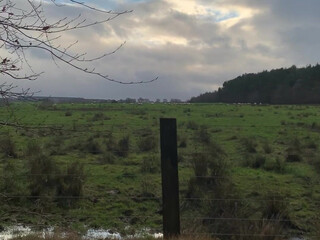 Pixei onlyfans The obstinate passion turns a huge ass