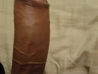 niksindiann onlyfans Charming babe in free chat