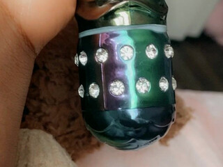 littledolljplay onlyfans Pretty hottie fucks herself