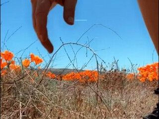 Kelly Kay aka kellykay onlyfans 23 February 2022