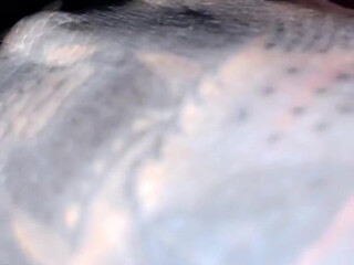 chanellysidney onlyfans 16 january 2022 Newest from chaturbate Porn 2022