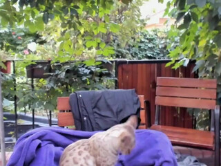 kristymack chaturbate Crazy bitch hard fingering both holes