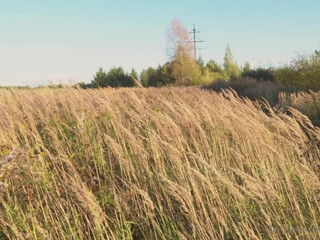 Angel aka littleangelph onlyfans  chic private