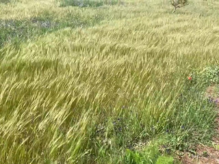 lalliboop onlyfans 23 February 2022 Latest May from chaturbate Porn