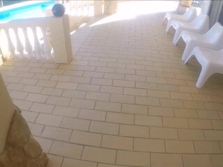 Harmony Reigns onlyfans 24-02-2022 performance stream Porn