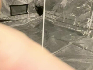 melodyparker69 onlyfans Solid curva gently squeezes pussy