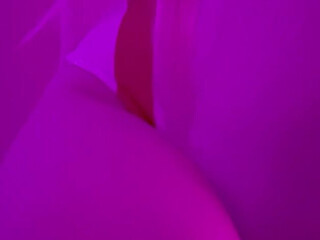 kinkykttn onlyfans 10_01_2022 webcam masturbation