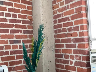 Alanna aka alannnna onlyfans Cute brown-haired woman performs double fuck