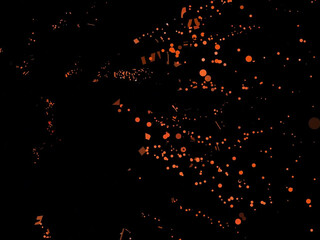 Thippy shemale porn 1-02-2022 performance Latest May from chaturbate show